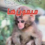 ۱۰۰ حقیقت ۲۲ (درباره ی میمون ها)