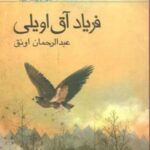 فریاد آق اویلی