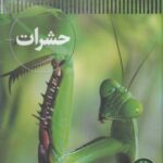 شاهد عینی (حشرات)