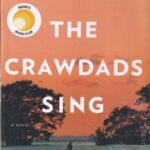 Where The Crawdads Sing: جایی که خرچنگ ها آواز می خوانند