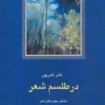 در طلسم شعر: منتخب چهار دفتر شعر (شعر معاصر ایران...