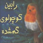 رابین کوچولوی گمشده