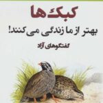 کبک ها بهتر از ما زندگی می کنند! (گفتگوهای آزاد)