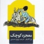 معجزه کوچک