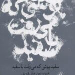 سفیدپوشی که می رفت با سفید (مجموعه شعر)