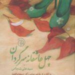 چهل عاشقانه سرگردان (باسی دی)