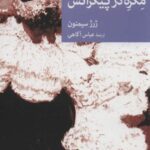 مگره در پیکراتس (نقاب ۱۰۰)