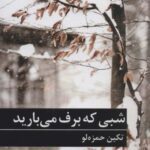 شبی که برف می بارید