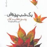 ۱ شب پرنده ای...: ۵ دفتر اول (پازل شعر امروز)