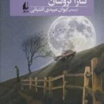 یک دقیقه بعد از نیمه شب (رمان جوان ۱۱)