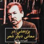 پژوهشی در معانی دیگر شعر