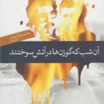 آن شب که گوزن ها در آتش سوختند