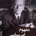 مفهوم امر سیاسی