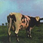 مادر قلب اتمی (Pink Floyd، Atom Heart Mother)،...