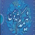 نیمه گم شده من