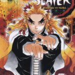 Demon Slayer 8