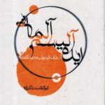 دی وی دی (بادیگارد)