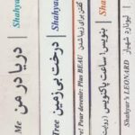 مجموعه پنج کتاب از شاعر شهیار قنبری (پنج حرف درشت در مشت)، (۵ جلدی، باقاب)