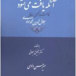 آنکه یافت می نشود: گاهشمار زندگانی