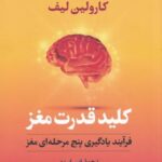 کلید قدرت مغز