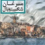 ادبیات داستانی جهان (۱۵) مرغان بال شکسته