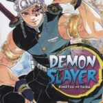 Demon Slayer 9