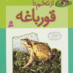 داستان دگرگونی ۴ (از تخم تا قورباغه)