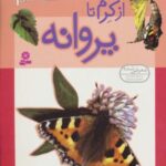 داستان دگرگونی ۳ (از کرم تا پروانه)