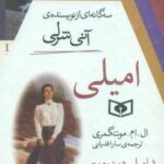 مجموعه 3 جلدی _ امیلی _ رقعی قابدار