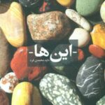 این ها _ پالتویی