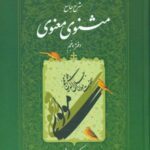 شرح مثنوی کریم زمانی (جلد ۵)