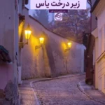 زیر درخت یاس - تصویر 1